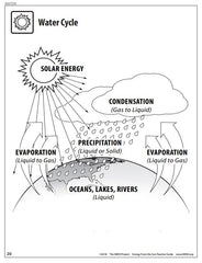 Energy from the Sun (Intermediate)